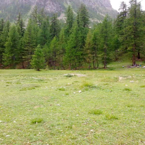 vacances tourisme et decouverte de st etienne de tinée, parc du mercantour, randonnées, nature