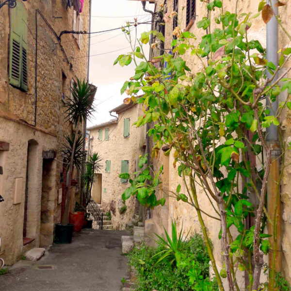 le bar sur loup village perche visiter vacances cote d azur