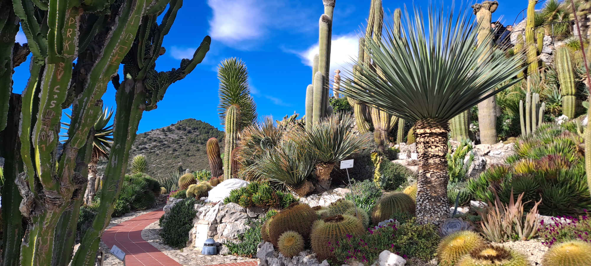 Jardin Exotique d’Èze avec vue imprenable sur la mer Méditerranée