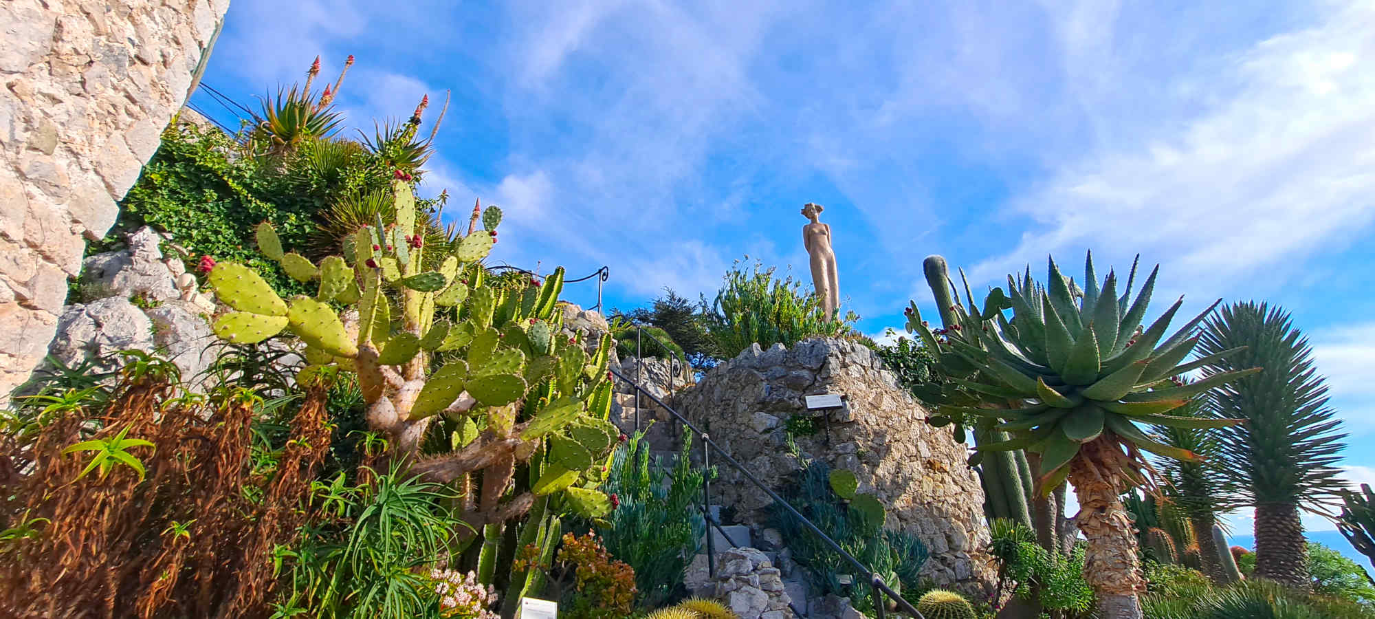 Panorama depuis le Jardin Exotique d’Èze, un site touristique à ne pas manquer