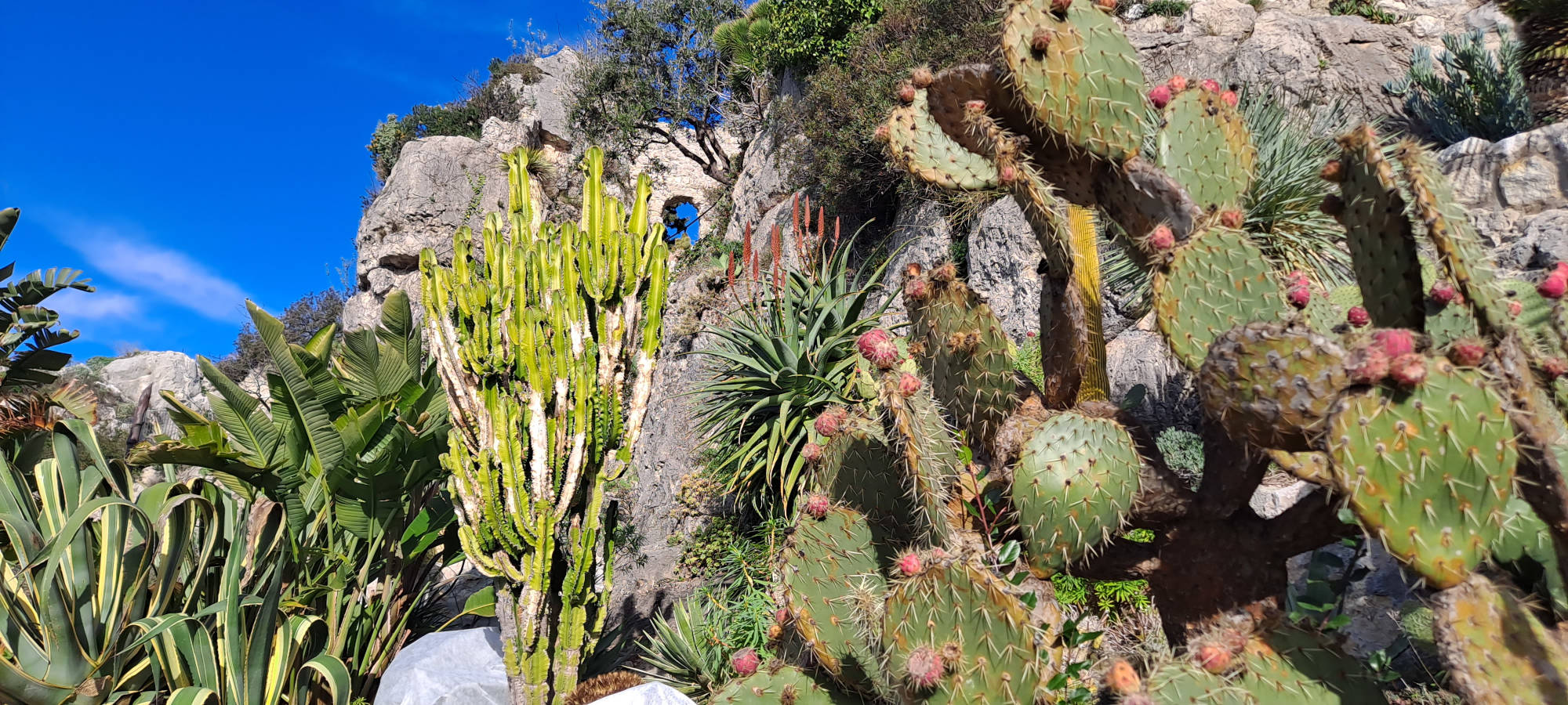 Touristes en visite à Èze, charmant village perché de la Côte d’Azur