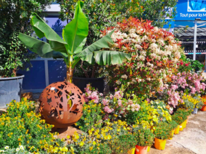 Jardinerie Petrucciolli à Nice, un bon plan pour ramener des plantes méditerranéennes