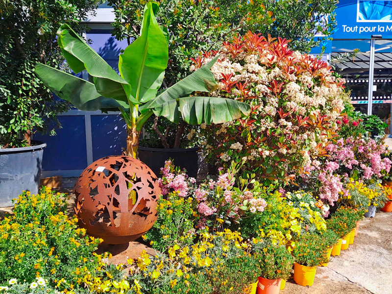 Jardinerie Petrucciolli in Nice, a great way to bring home Mediterranean plants