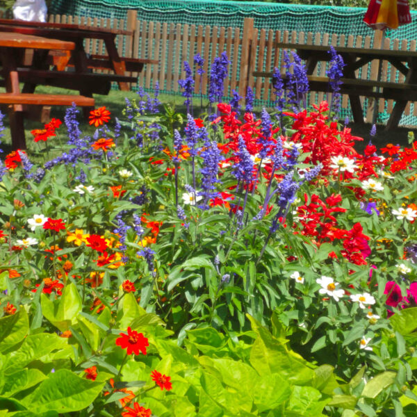 vacances tourisme et decouverte de st etienne de tinée, parc du mercantour, randonnées, nature
