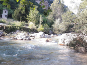 Pêche en rivière dans les Alpes-Maritimes