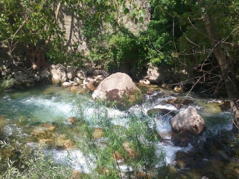 Pêche en rivière dans les Alpes-Maritimes