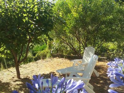 20160716_093620-louer-villa-vacances-gites-france-jardin-riviera-cannes-nice-mandelieu-06-paca-odon-1024x614