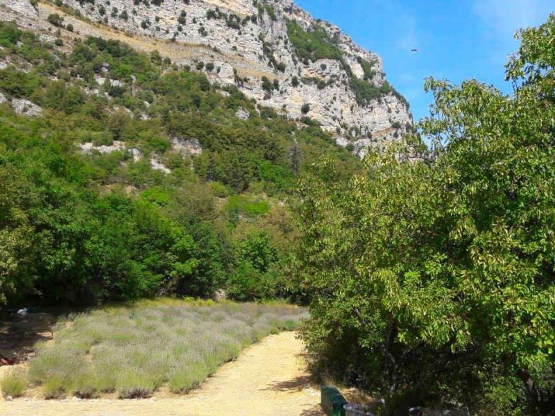 Balade au milieu des lavandes sur la Côte d’Azur