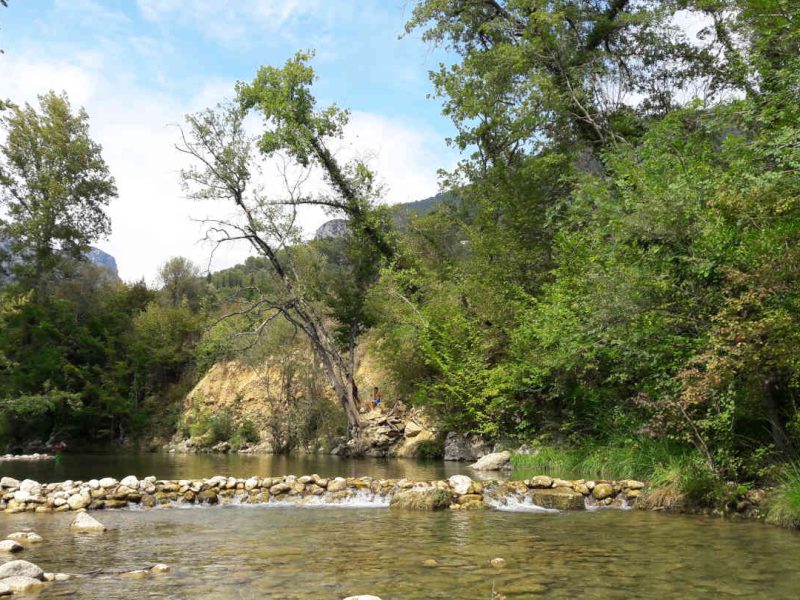 Pêche en rivière dans les Alpes-Maritimes