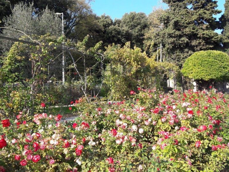 Les cinq plus belles promenades à Nice, Côte d’Azur, France