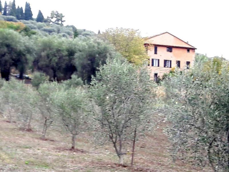 Le Moulin à huile d’olive d’Opio