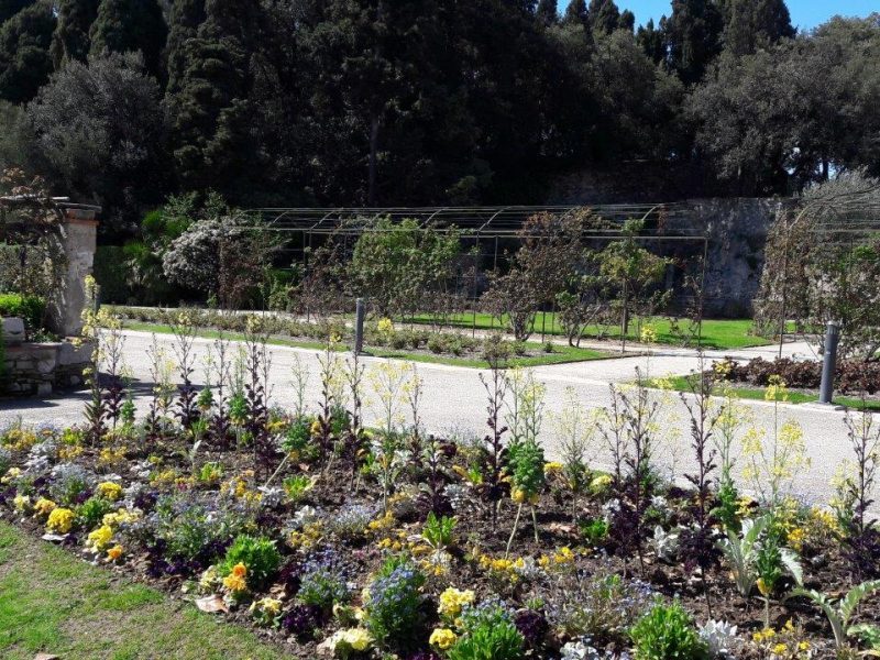 Les cinq plus belles promenades à Nice, Côte d’Azur, France