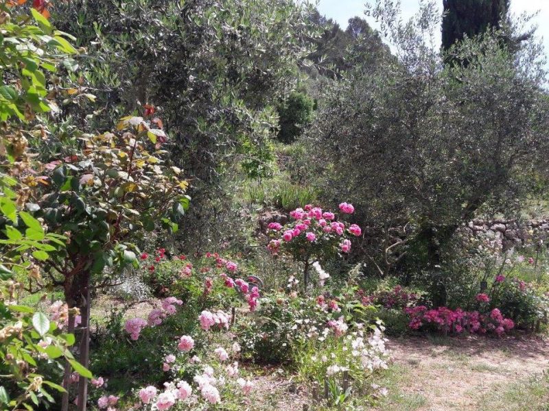 5 idées d’excursions d’une journée pendant vos vacances sur la Côte d’Azur