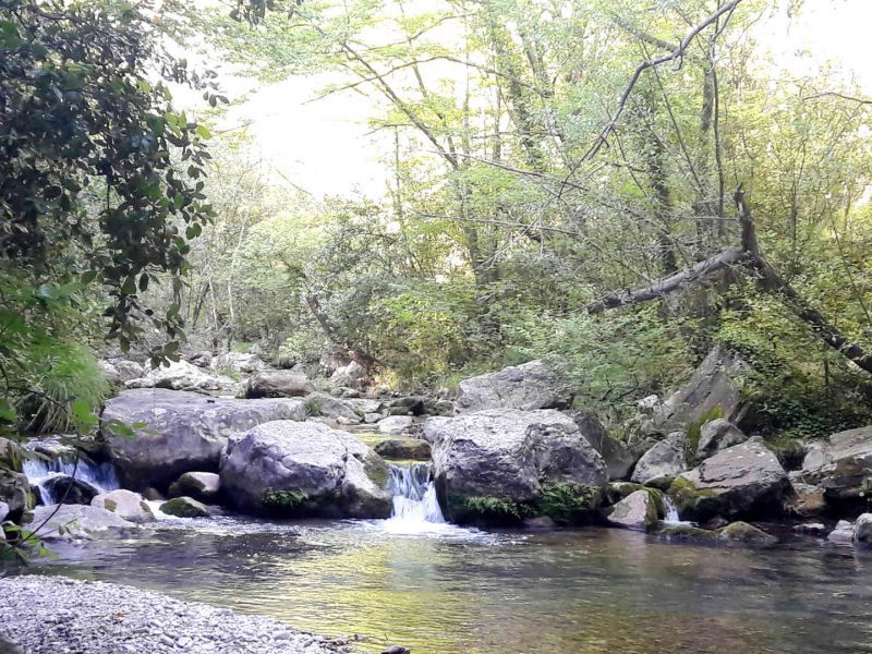 Pêche en rivière dans les Alpes-Maritimes