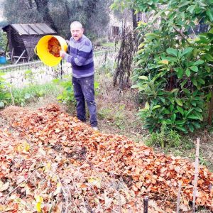 La permaculture (ou agriculture permanente)