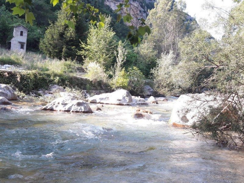 Pêche en rivière dans les Alpes-Maritimes