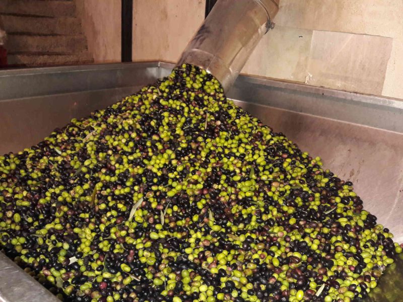 huile olive producteur alpes maritimes