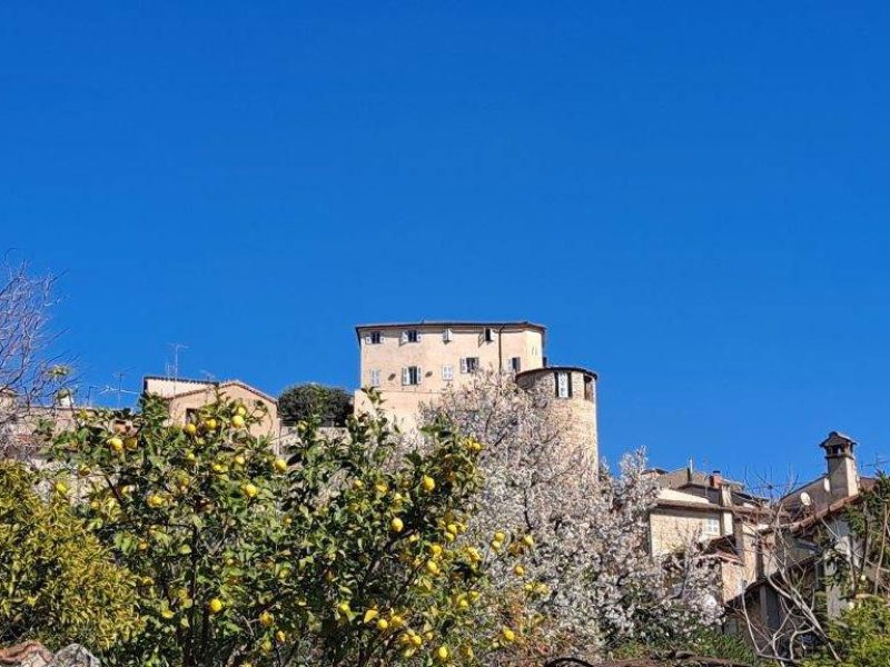 5 idées d’excursions d’une journée pendant vos vacances sur la Côte d’Azur