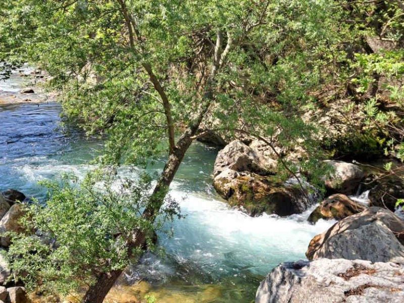 5 idées d’excursions d’une journée pendant vos vacances sur la Côte d’Azur