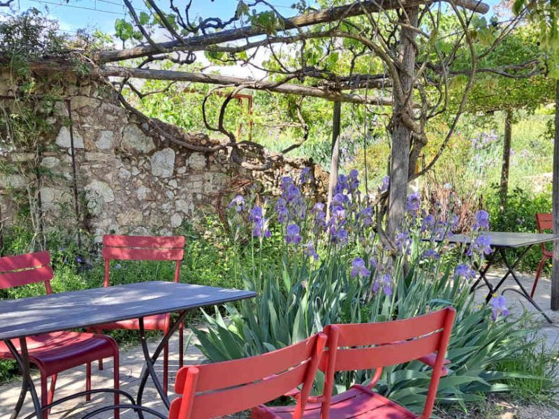 Visite des Jardins du Musée International de la Parfumerie (MIP), à Mouans-Sartoux