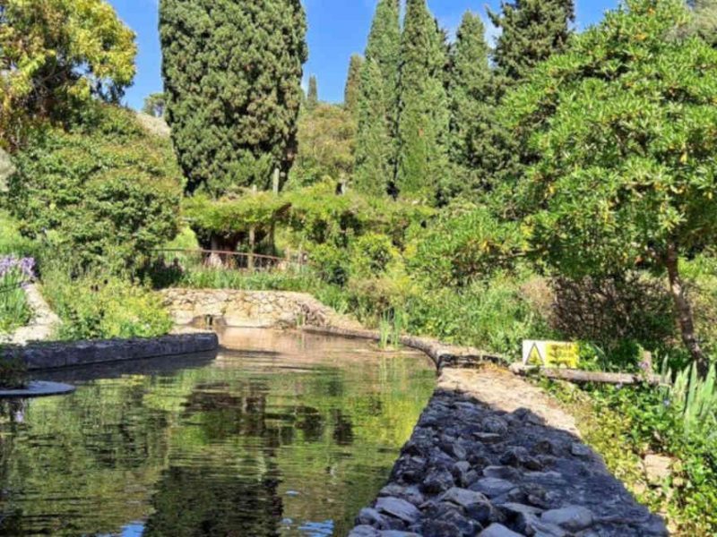 Visite des Jardins du Musée International de la Parfumerie (MIP), à Mouans-Sartoux