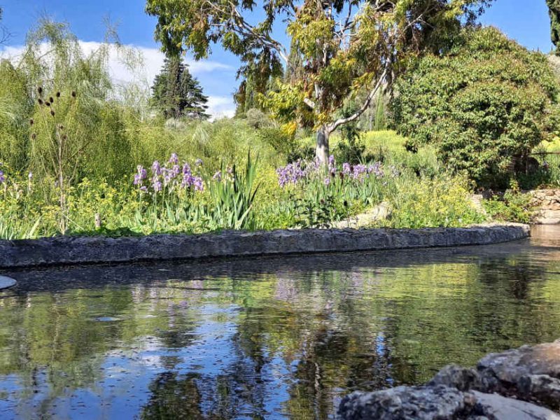 Visite des Jardins du Musée International de la Parfumerie (MIP), à Mouans-Sartoux