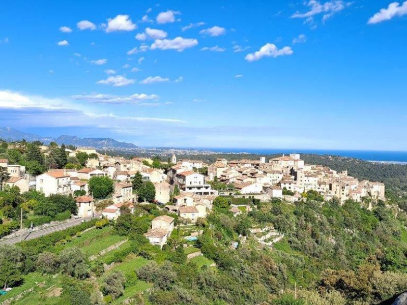 La Fête des violettes en mars à Tourrettes sur loup