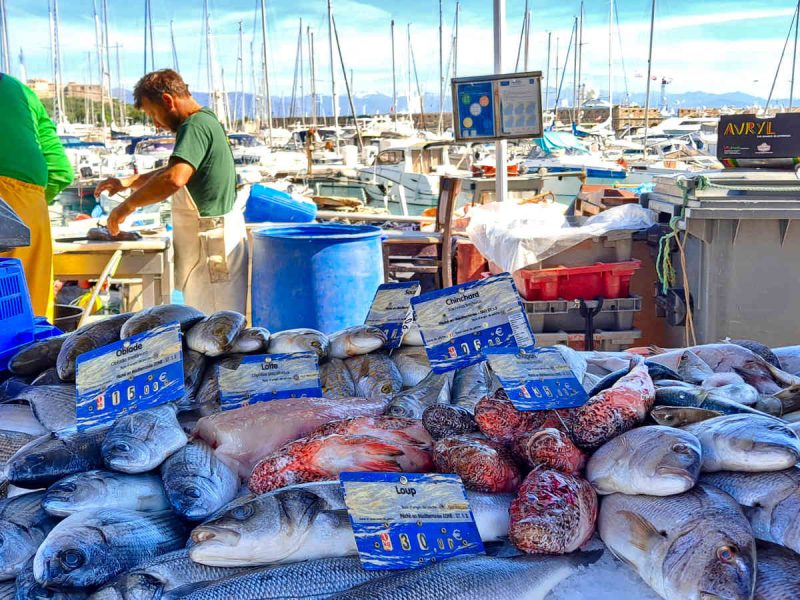 antibes juan les pins visiter vacances cote dazur tourisme blog