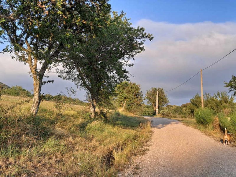 Le Domaine de Courmettes, une idée balade facile sur la Côte d’Azur à faire en famille