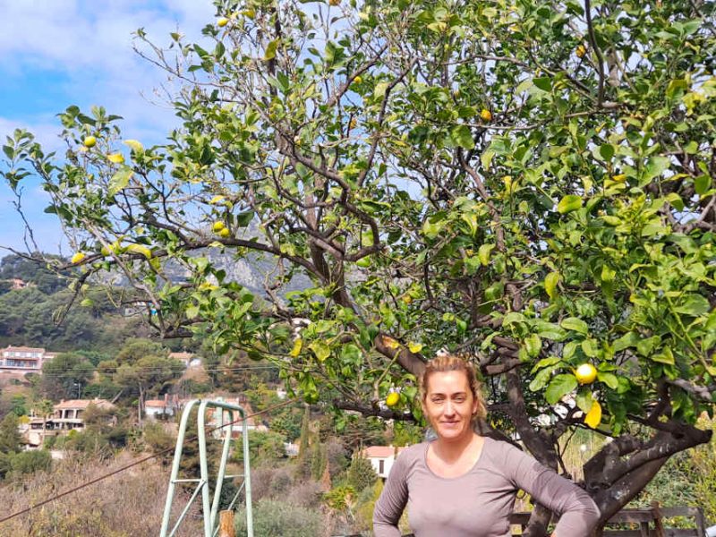 Découvrir le citron de Menton chez Emilie Basin