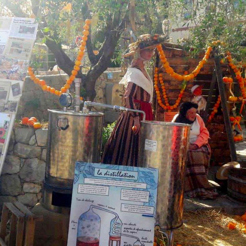 La Fête de l’oranger au Bar-sur-Loup