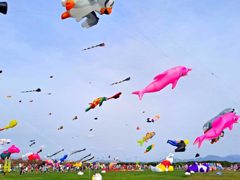 Le Festival International de l’Air de Fréjus, une idée de sortie en famille sur la Côte d’Azur