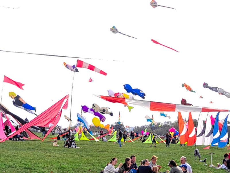 Le Festival International de l’Air de Fréjus, une idée de sortie en famille sur la Côte d’Azur