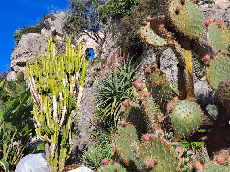 Touristes en visite à Èze, charmant village perché de la Côte d’Azur