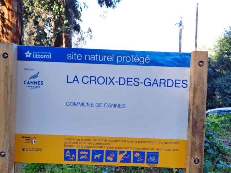 Cannes voir les mimosas en fleur à la Croix des Gardes