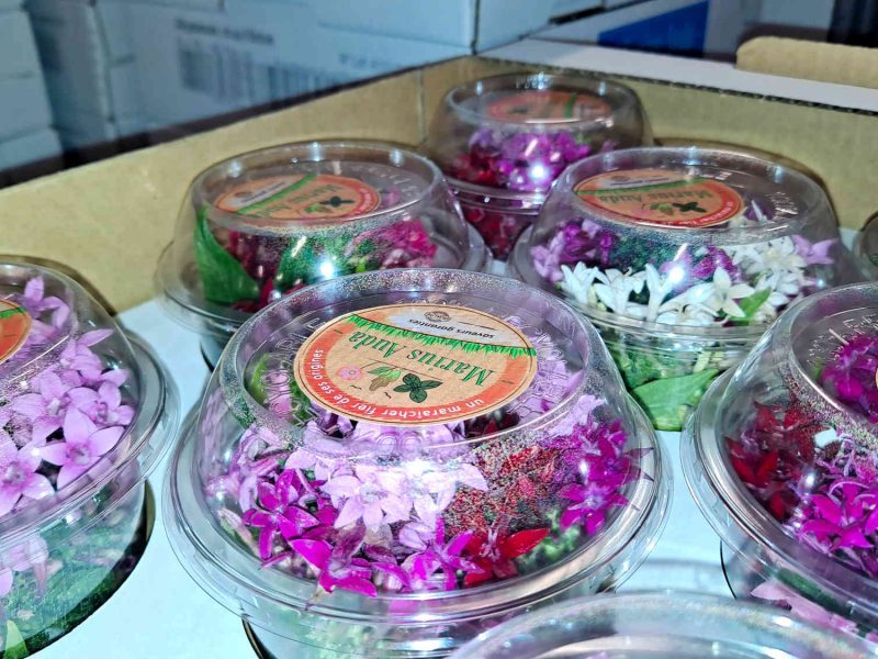 La société Marius Auda à Gattières, une entreprise pionnière des fleurs comestibles