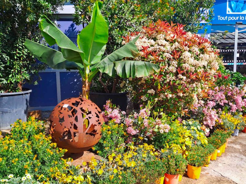 Jardinerie Petrucciolli à Nice, un bon plan pour ramener des plantes méditerranéennes
