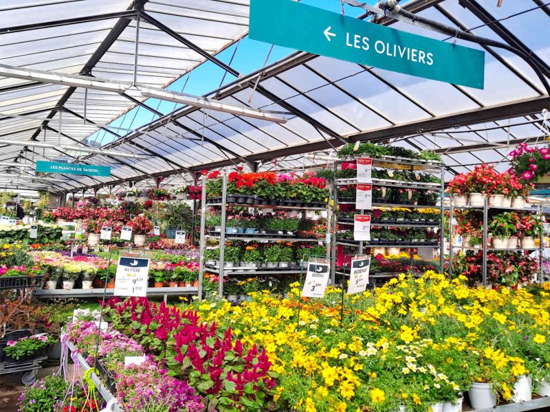 Jardinerie Petrucciolli à Nice, un bon plan pour ramener des plantes méditerranéennes