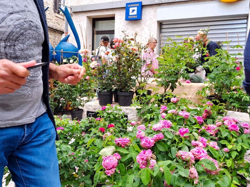 Fête « Autour de la Rose » à La Colle sur Loup