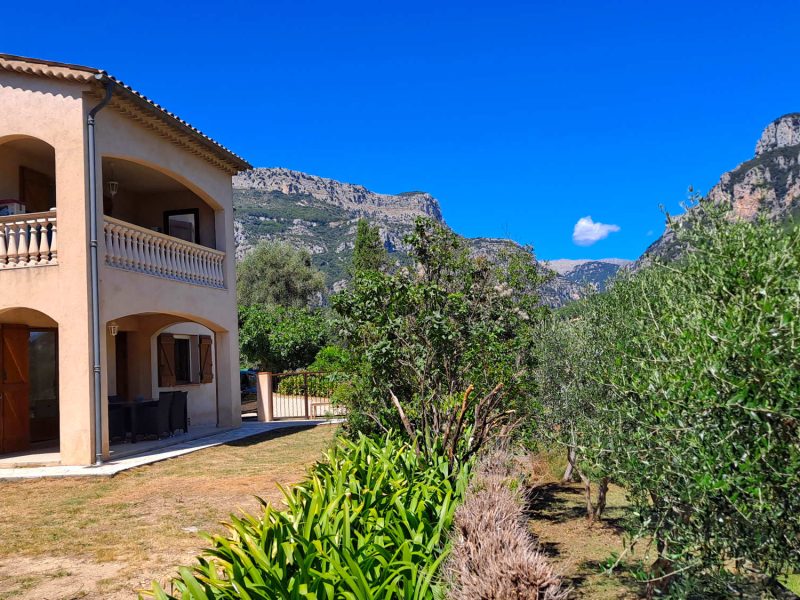 location louer appartement villa jardin sophia antipolis cannes grasse antibes valbonne bo