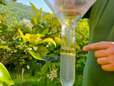 grasse, patrimoine immatériel de l'unesco pour les savoirs-faire liés à la parfumerie