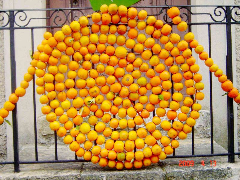 DSC001La Fête de l’oranger au Bar-sur-Loup47-fete-orangers-bar-sur-loup-patrimoine-traditions-decouvrir-cote-d-azur