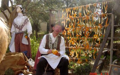 Fête de l'oranger au Bar sur Loup a 5 mn de nos gîtes