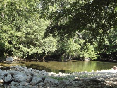 Les Gorges du Loup A 5 mn de nos gîtes