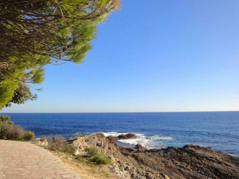 5 idées d’excursions d’une journée pendant vos vacances sur la Côte d’Azur