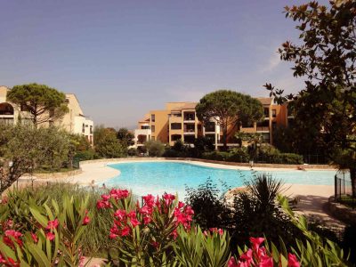 locations gites france vacances piscine mougins cannes nice cote d azur 06 appartement sophia antipolis grasse oliviers