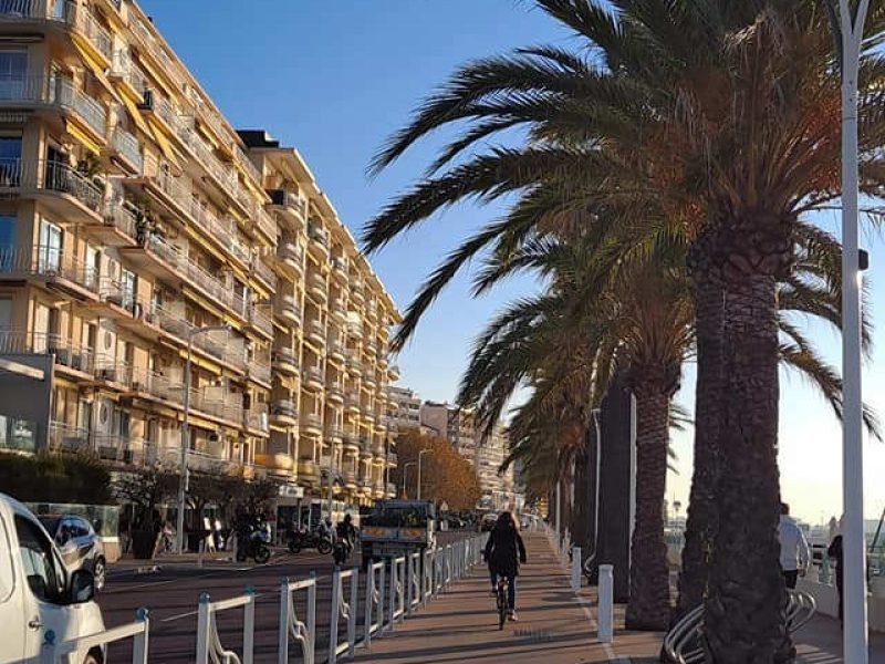 Quand la nature descend à Cannes