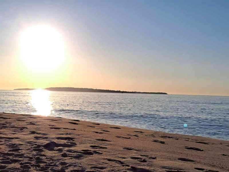 Balade en bord de mer à Cannes, au soleil de la Côte d’Azur