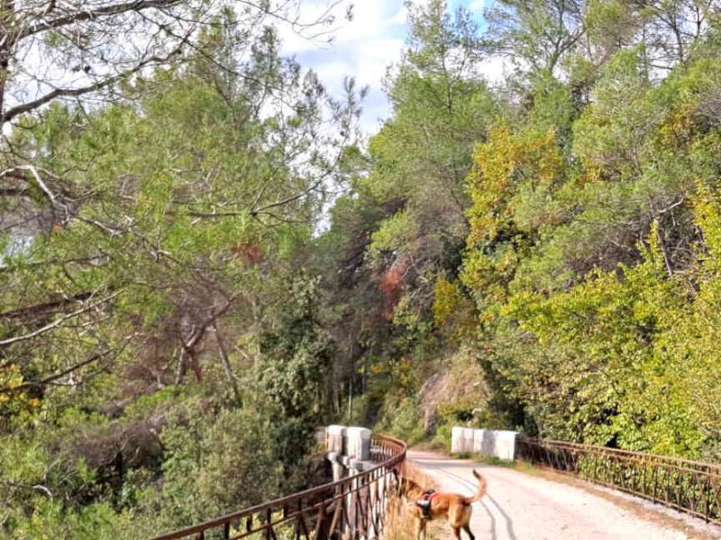 Une balade facile à faire famille entre Bar sur Loup et Tourrettes sur Loup