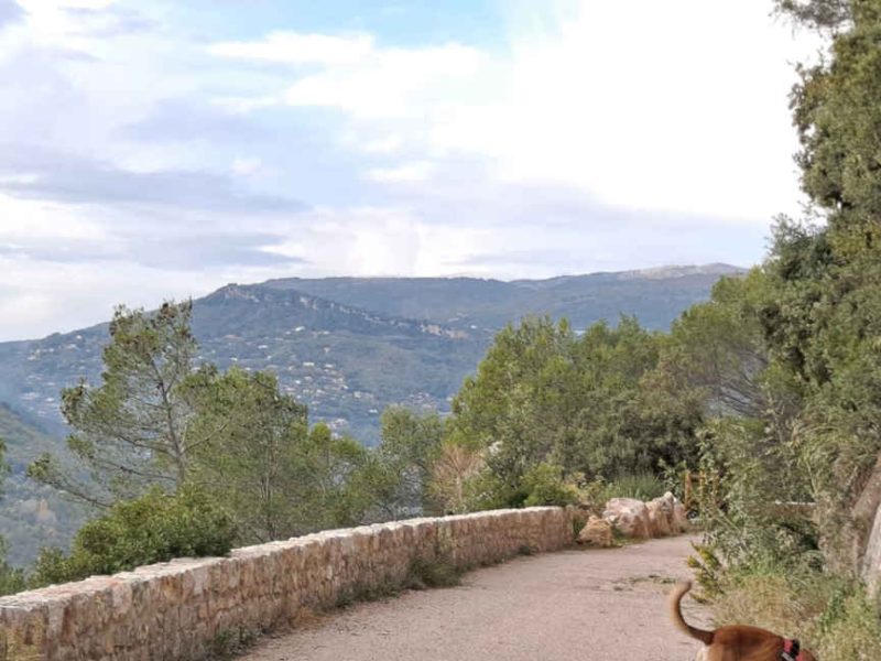 Une balade facile à faire famille entre Bar sur Loup et Tourrettes sur Loup